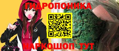 apvp Краснознаменск