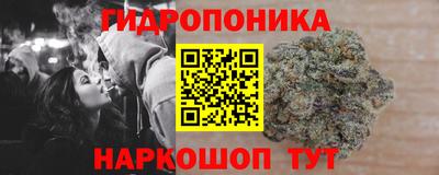 apvp Краснознаменск